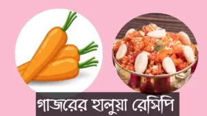 গাজরের হালুয়া রেসিপি