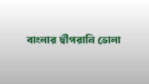 ভোলা জেলা