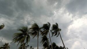 আবহাওয়া