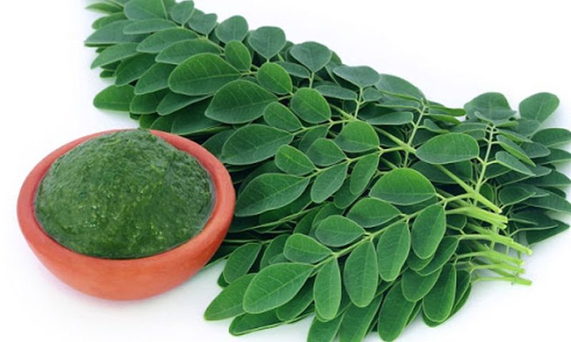 সজনে পাততার উপকারিতা