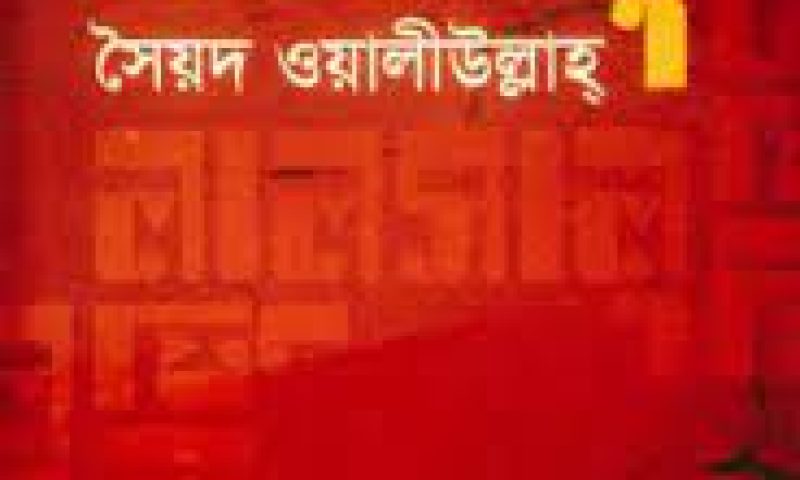 লালসালু উপন্যাস mcq