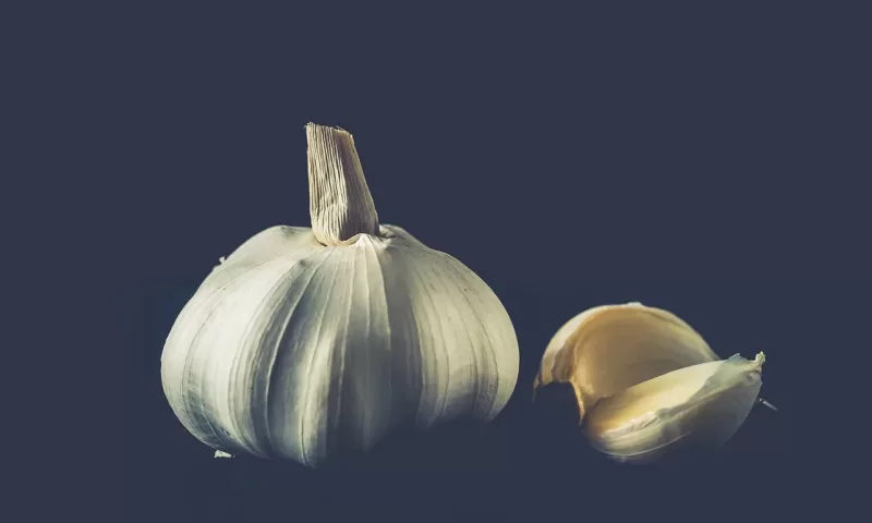 রসুনের উপকারিতা ও অপকারিতা