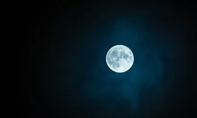 রোজা